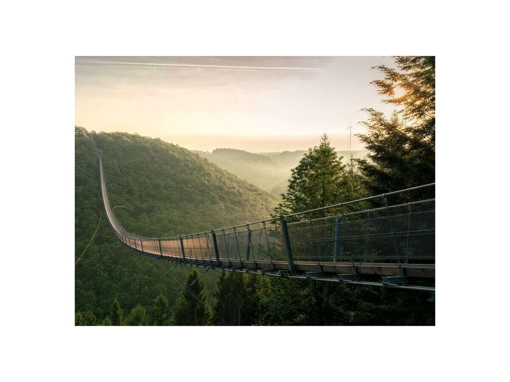   493676