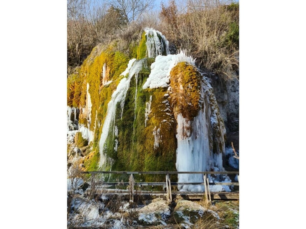   61573