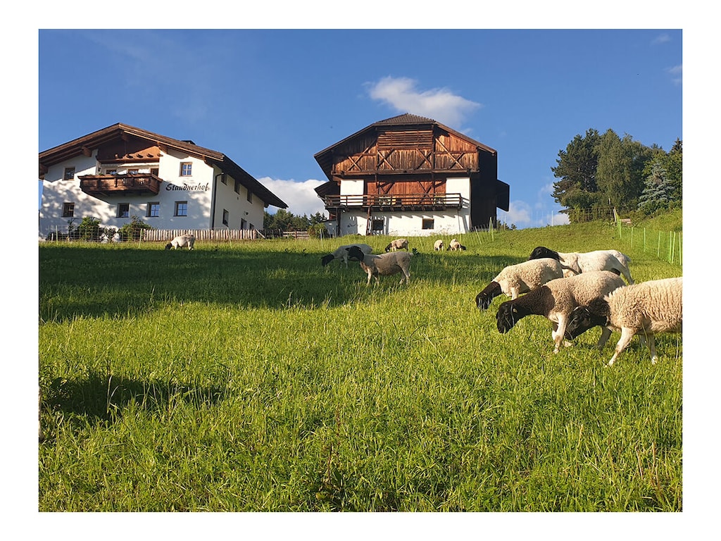 Staudnerhof Comfortabele vakantiewoning