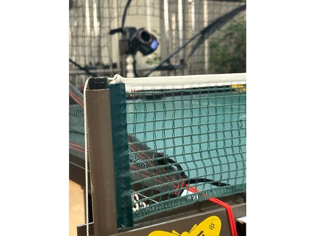   487706