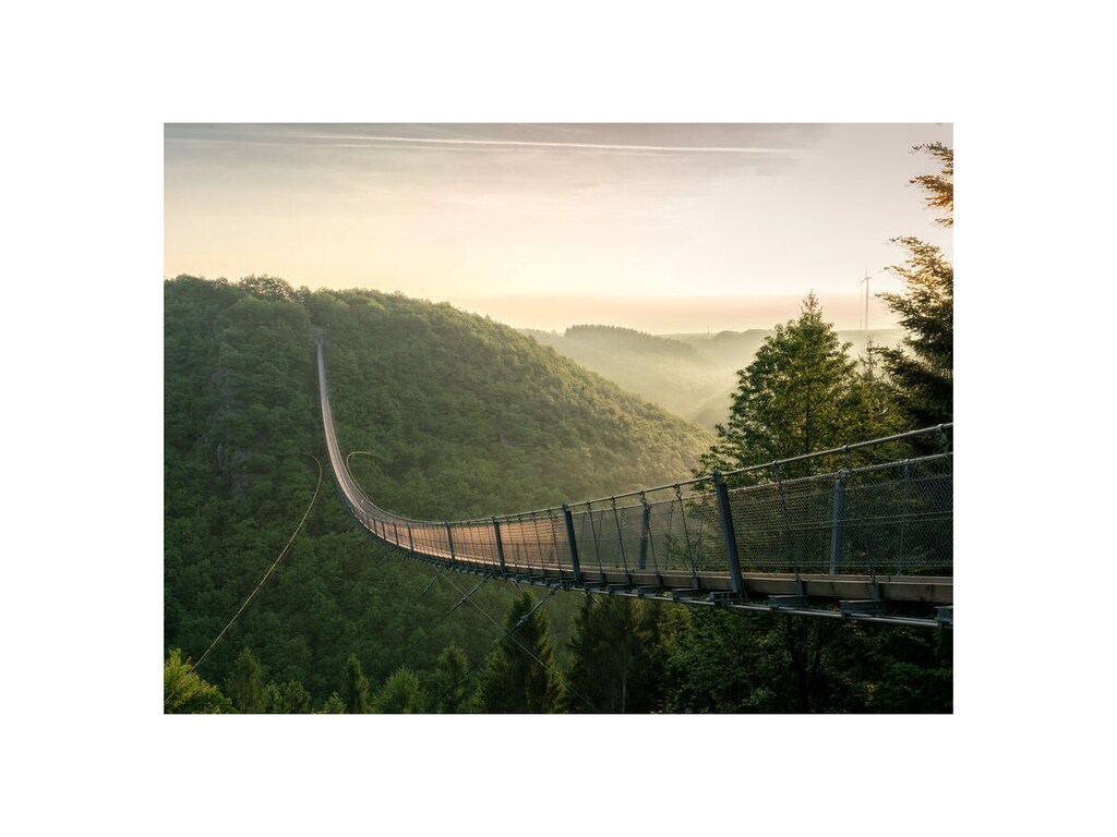   268306