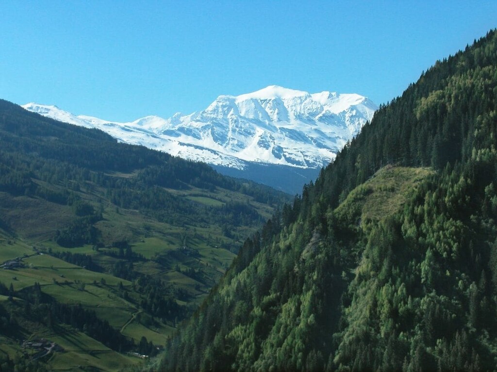   29161