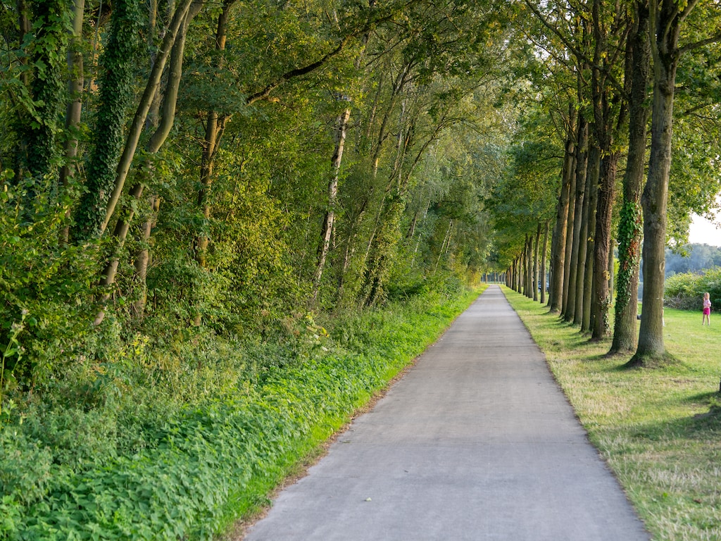 Rustige boskade bij Belvilla