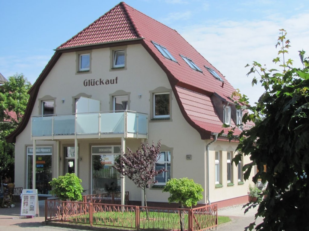 Lachmöwe im Haus Glückauf