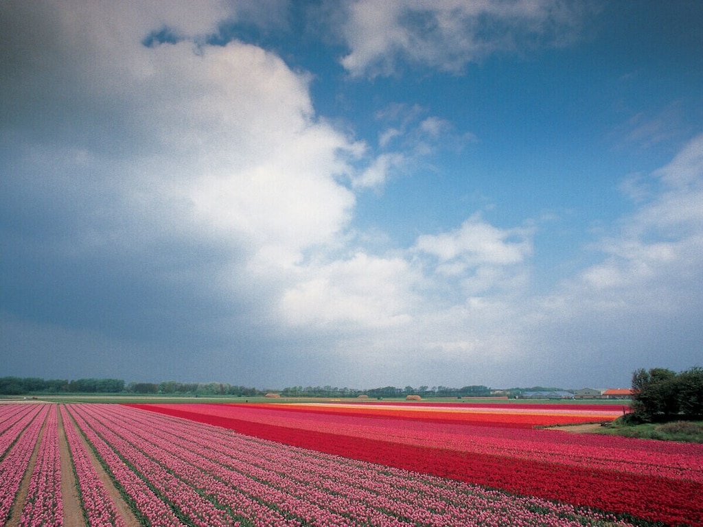   7118