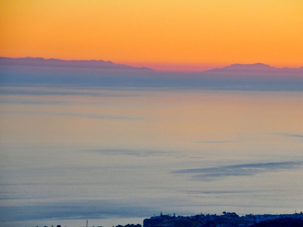   11598