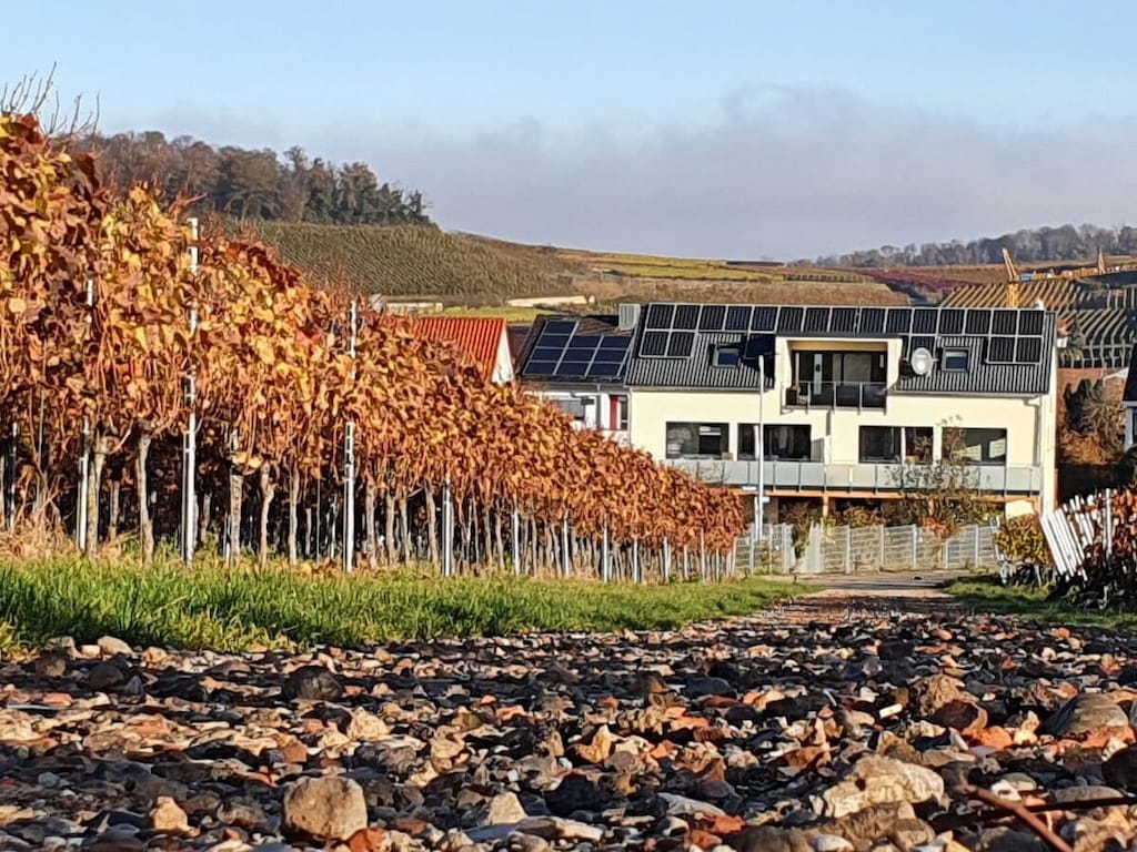 Vakantieappartement in Vogtsburg-Bischoffingen met 1 slaapkamer