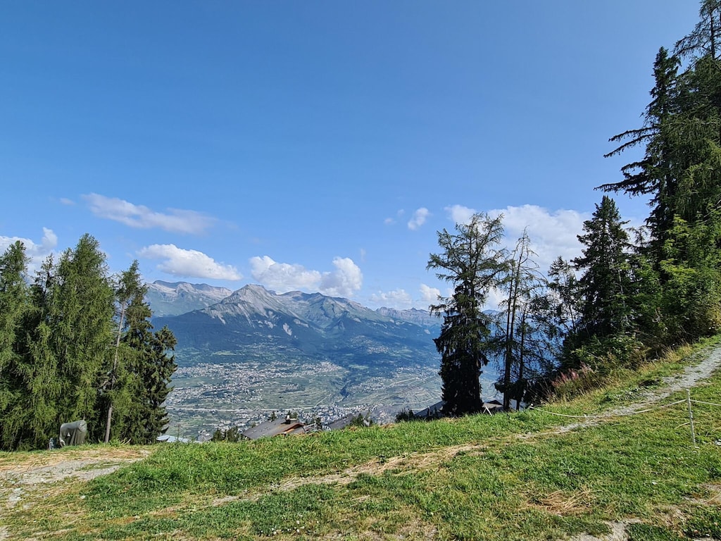 Picture 35 Picture 35