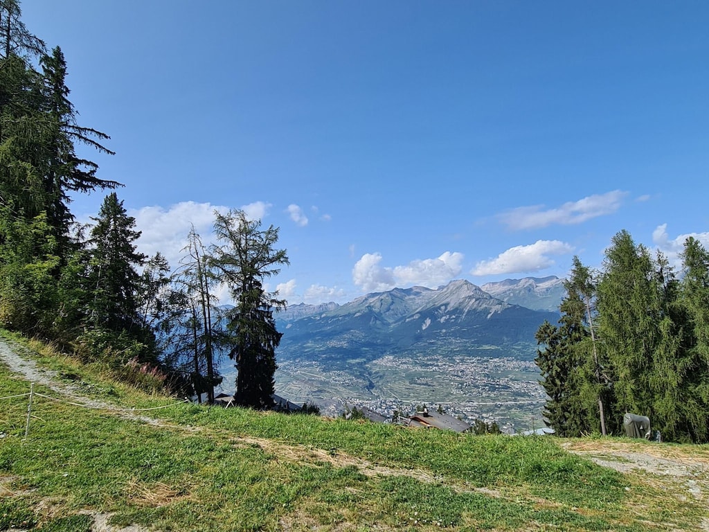 Picture 36 Picture 36