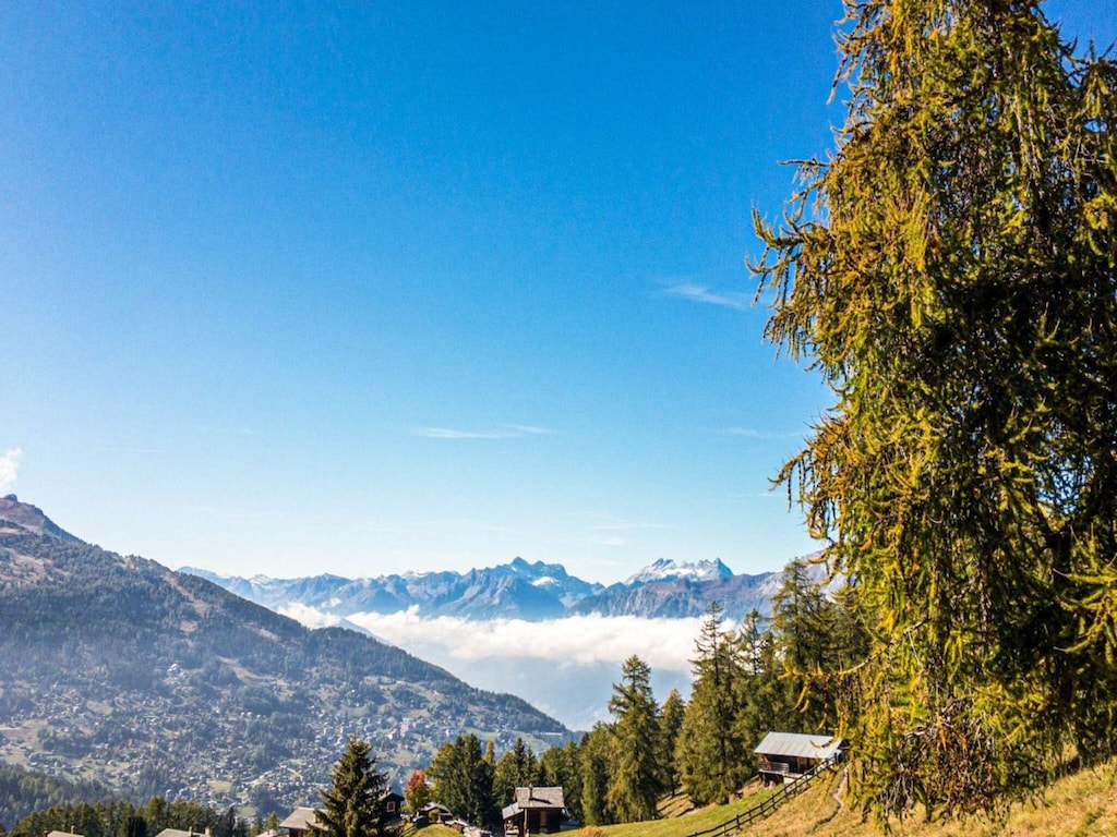 Picture 25 Picture 25