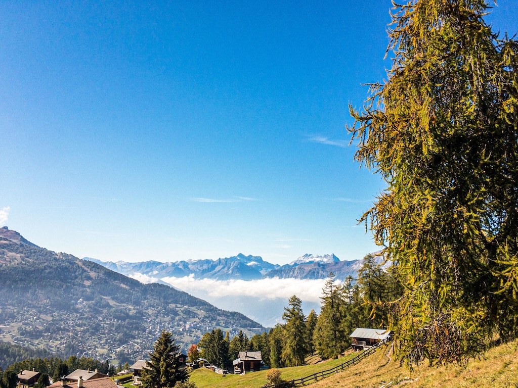 Picture 24 Picture 24