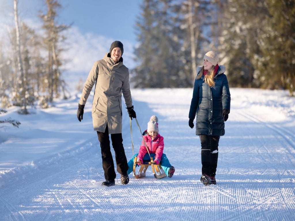Studio near the slopes with wellness area