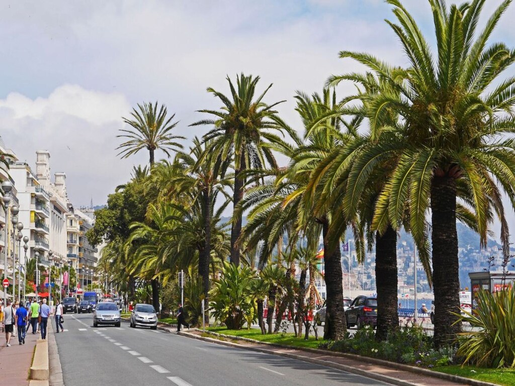 Wohnungen in Nizza