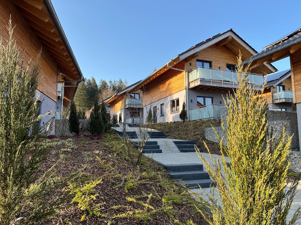 modernes Chalet in Hahnenklee