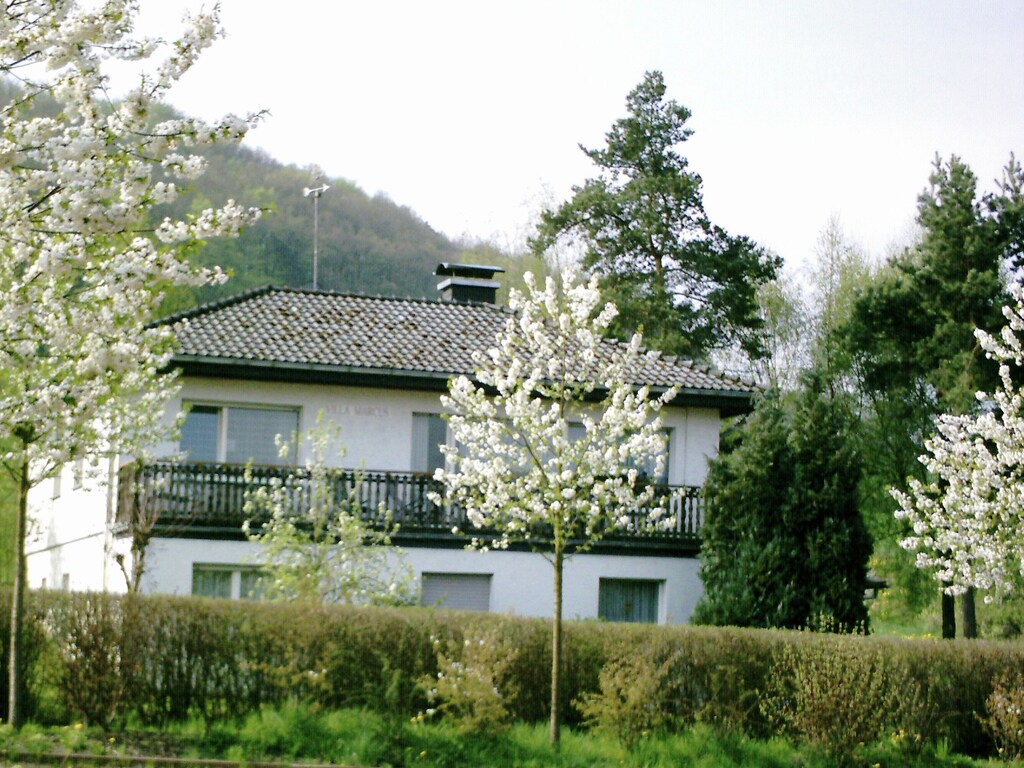 Holiday apartment Diemelsee (254973), Diemelsee, Sauerland, North Rhine-Westphalia, Germany, picture 2