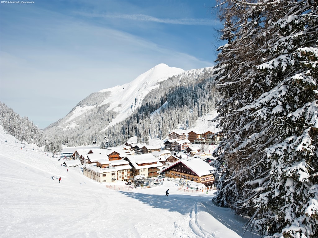 Ferienwohnung Ingrid (253579), Altenmarkt im Pongau, Pongau, Salzburg, Österreich, Bild 22