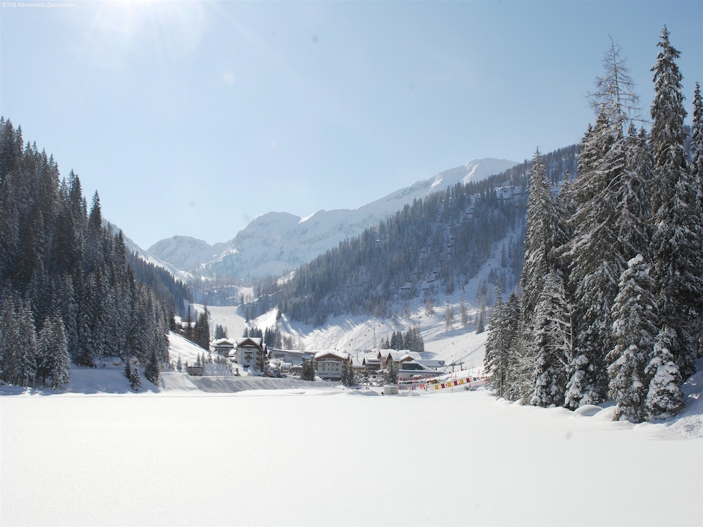 Ferienwohnung Ingrid (253579), Altenmarkt im Pongau, Pongau, Salzburg, Österreich, Bild 23