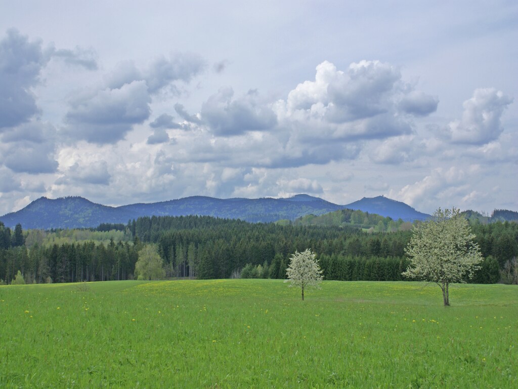 Bild 22 Bild 22
