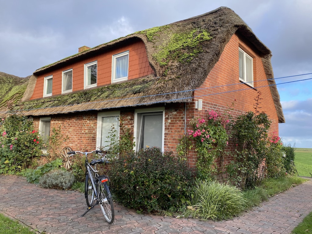 Vakantiehuis op Pellworm bij Vuurtoren