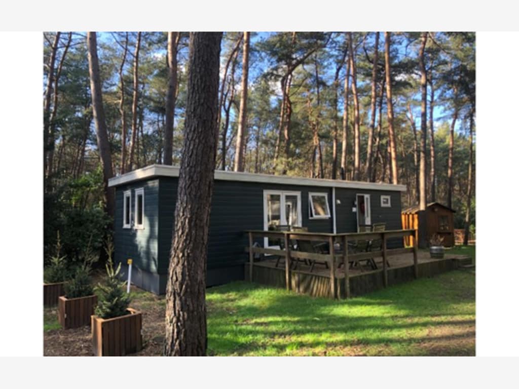 Rustig Chalet in het Dennenbos van de Kempen