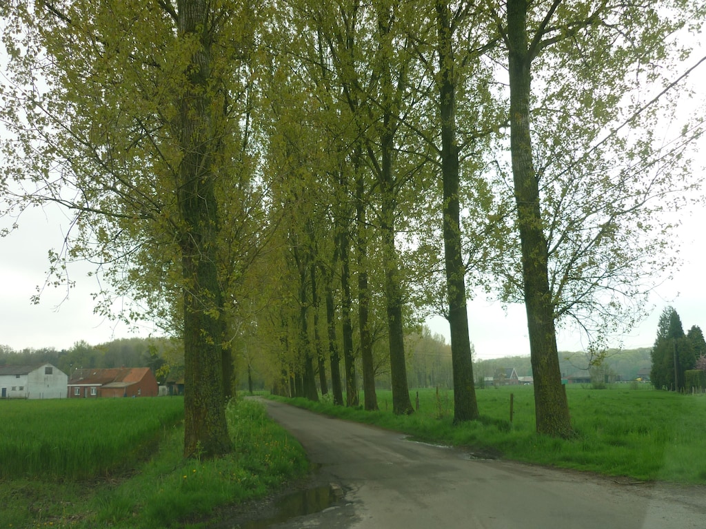 Ferienhaus De Snoeibijl (59343), Ruiselede, Westflandern, Flandern, Belgien, Bild 25