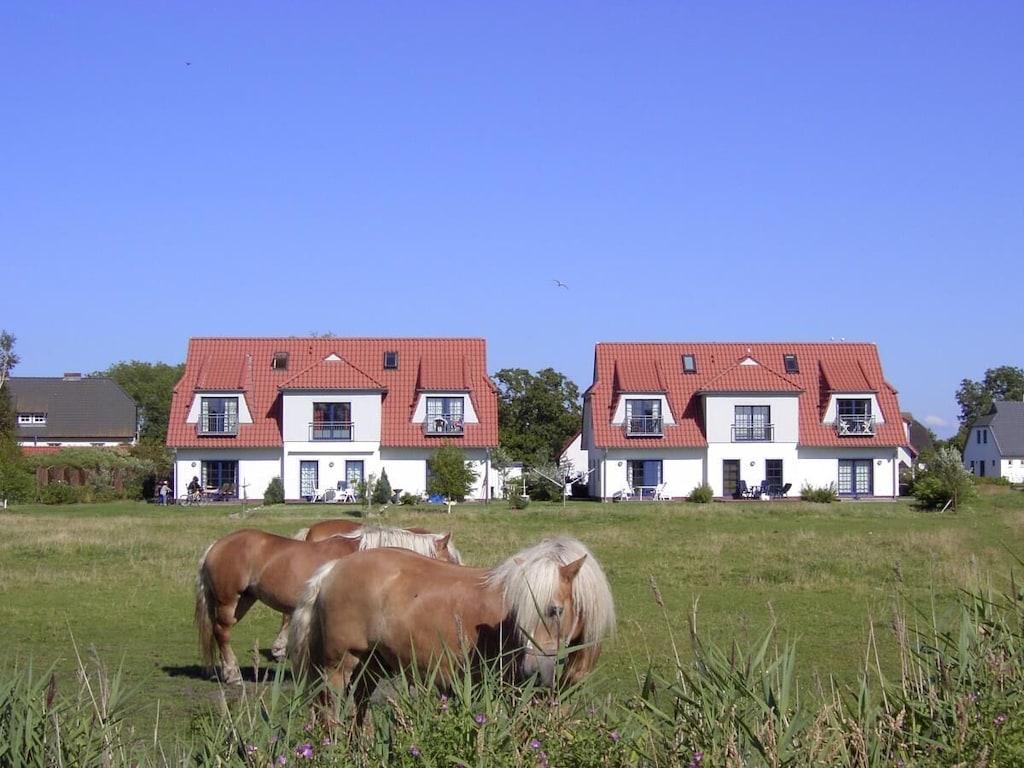 Appartement in Vitte met zwembad