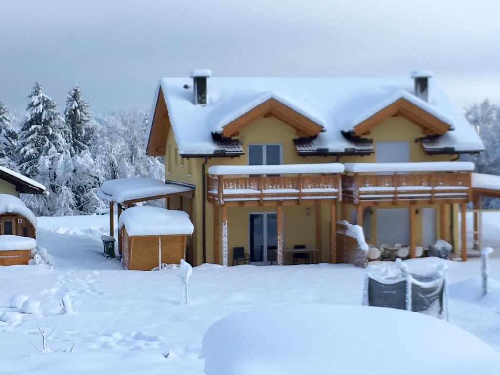 Villa with terrace, sauna near the border triangle
