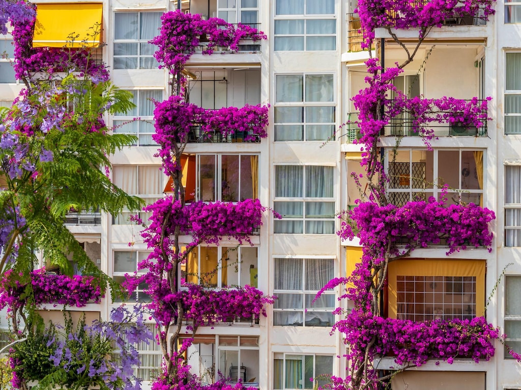 Appartement met terras vlakbij de zee