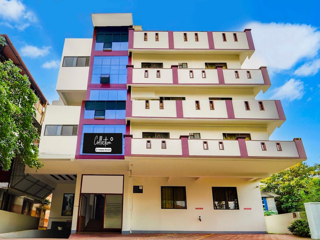 Collectie O Cheranelloor Aster Medicity