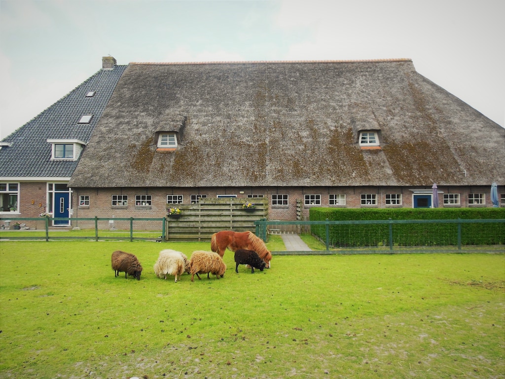 Ferienhaus Het Stolphuis (61001), Grauwe Kat, , , Niederlande, Bild 6