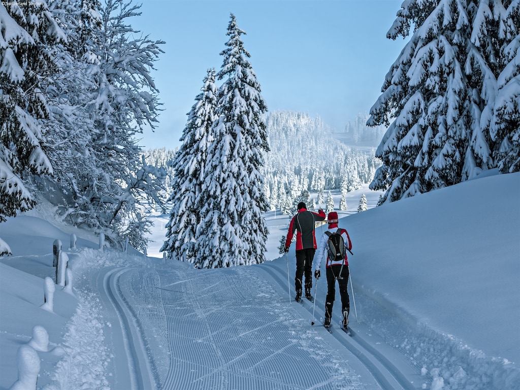 Ferienwohnung Bellevue (61347), Mayens-de-Riddes, 4 Vallées, Wallis, Schweiz, Bild 16