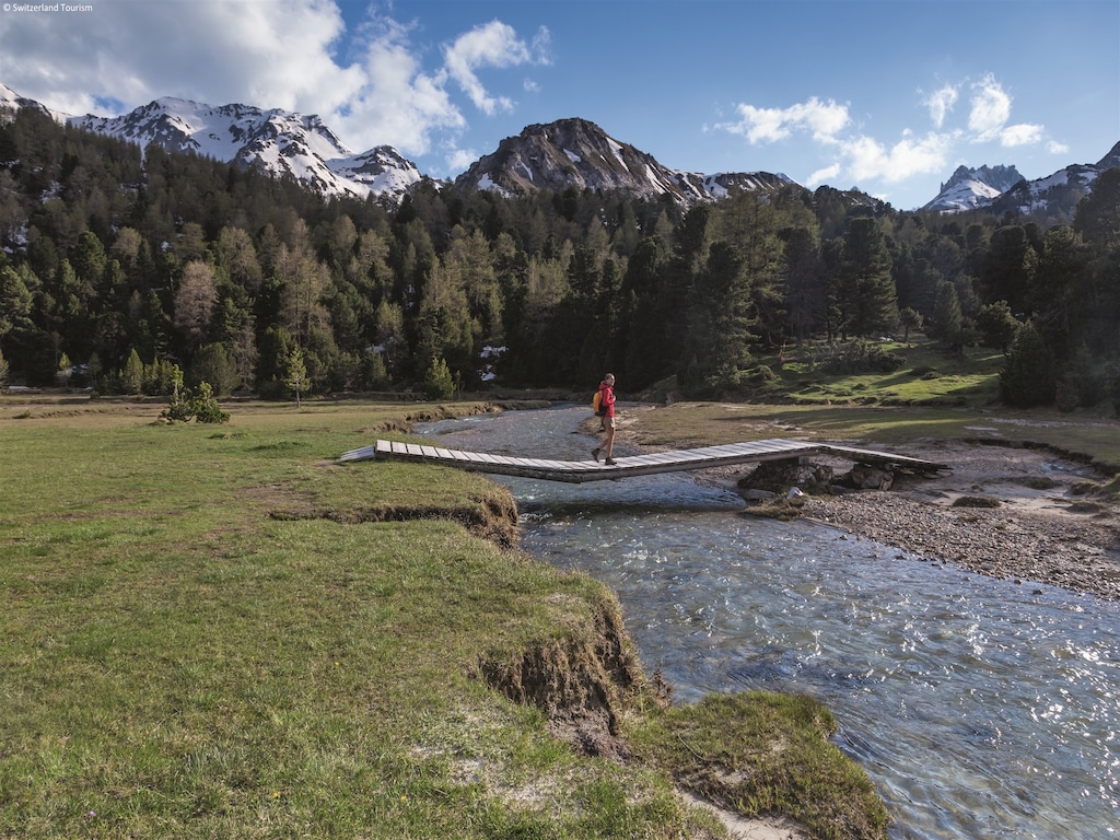 Ferienwohnung Bellevue (61347), Mayens-de-Riddes, 4 Vallées, Wallis, Schweiz, Bild 14