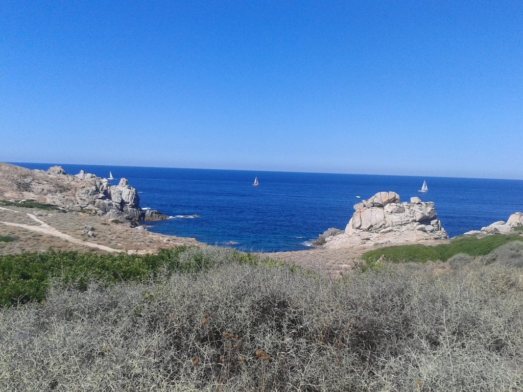 Objektbild