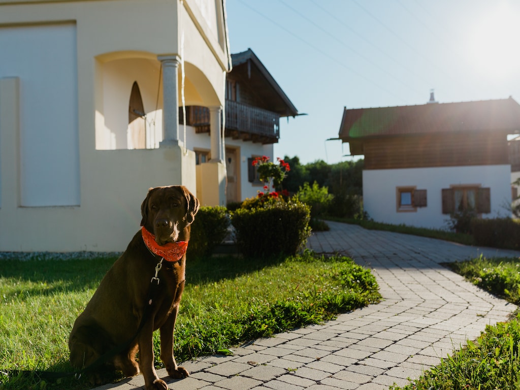 Vakantiehuis op Vital Camp Bayerbach