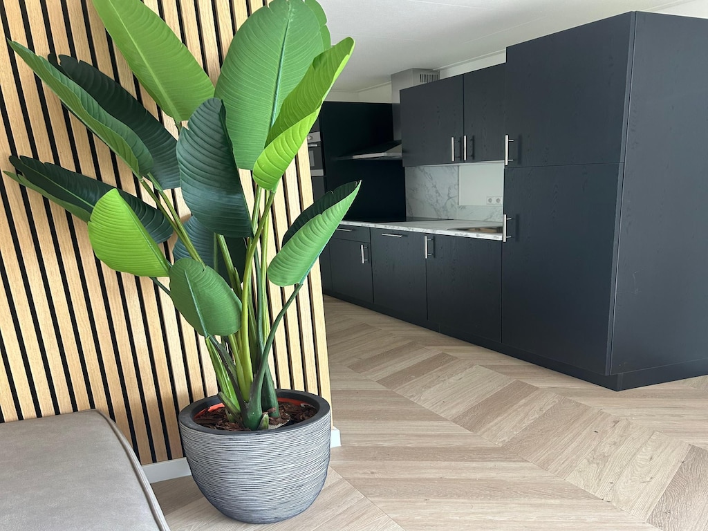 Eco Nature Home, Palette Resort de-Steppe