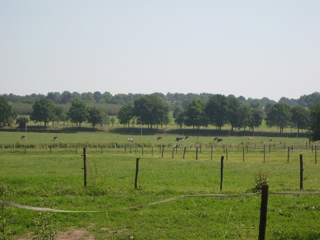 Ferienwohnung Meschermolen 5 (65734), Eijsden, Zuid-Limburg, Limburg (NL), Niederlande, Bild 17