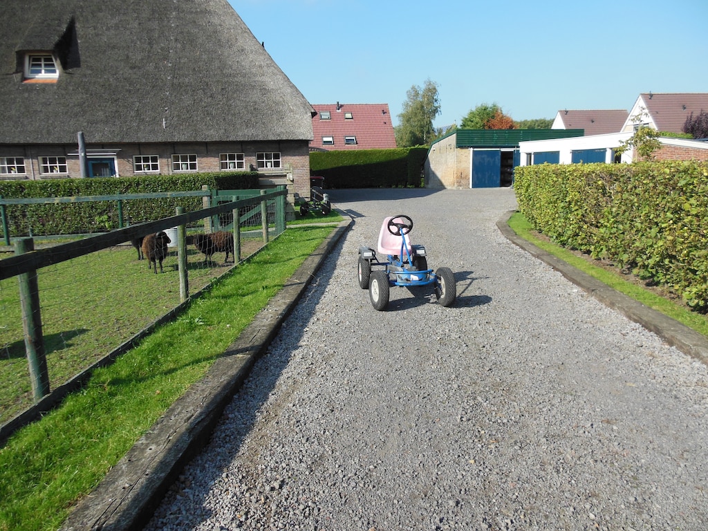 Ferienwohnung De Grup (61006), Grauwe Kat, , , Niederlande, Bild 2