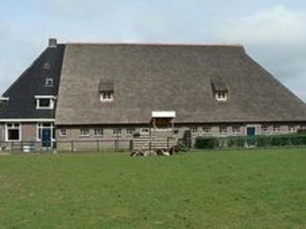 Ferienwohnung De Grup (61006), Grauwe Kat, , , Niederlande, Bild 8