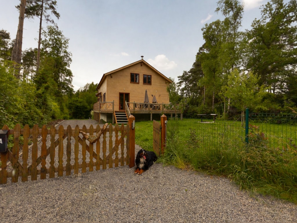 Luxe chalet met sauna in het bos