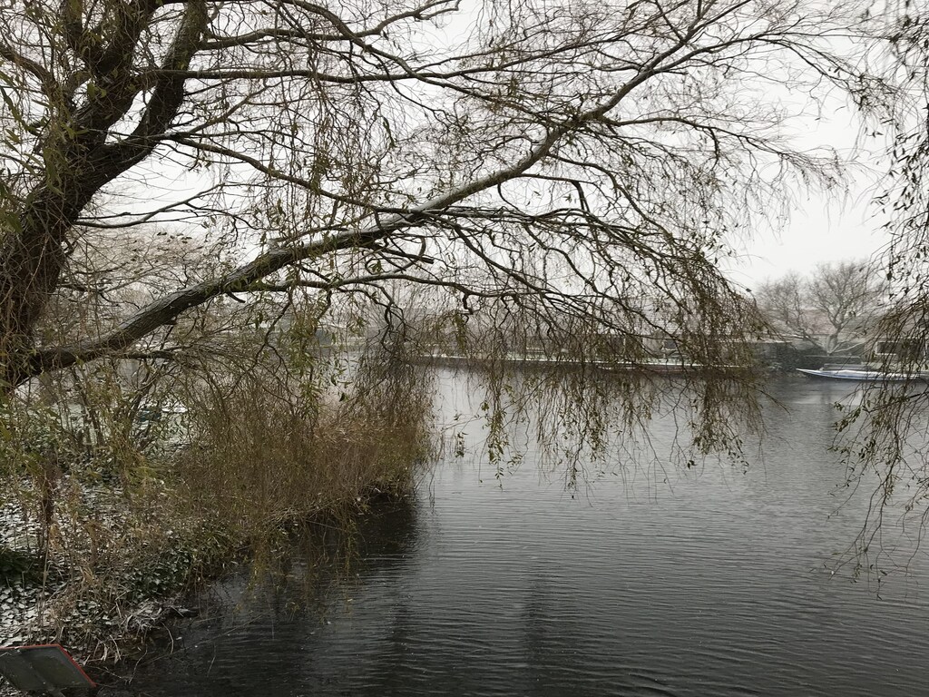 foto28
