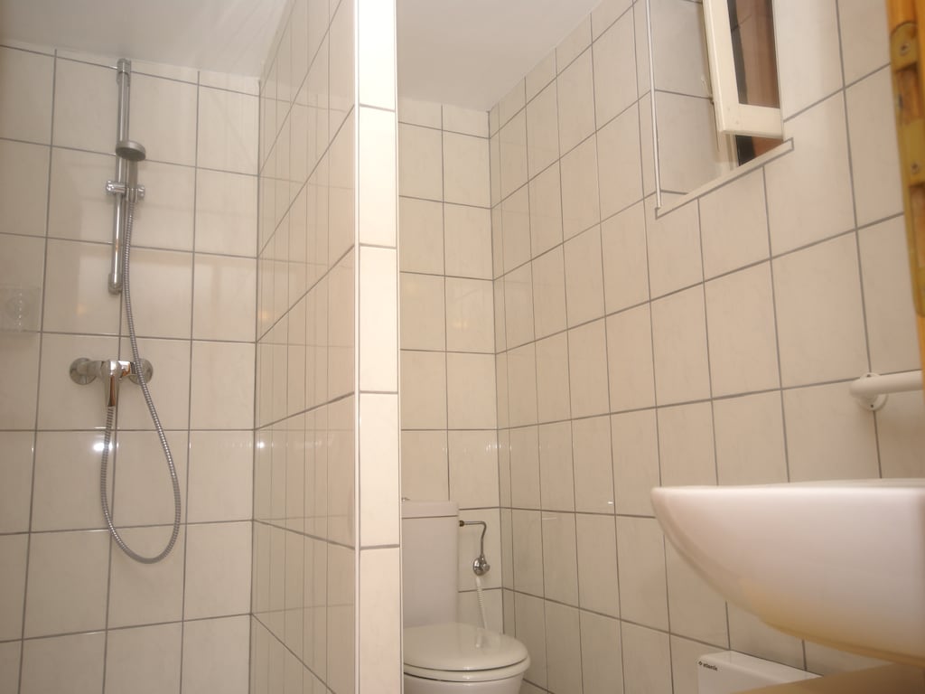 Ferienwohnung L'Etable (302799), Riquewihr, Oberelsass, Elsass, Frankreich, Bild 20