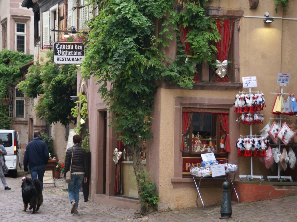 Ferienwohnung L'Etable (302799), Riquewihr, Oberelsass, Elsass, Frankreich, Bild 37