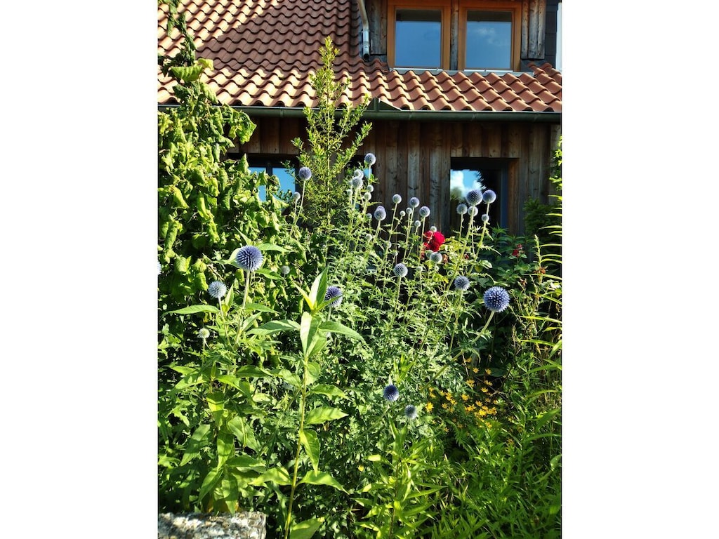 Ferienhaus in Hitzacker mit Wifi