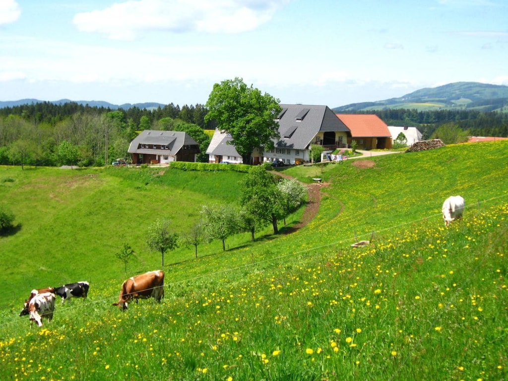 Appartamento vacanze 1 al Brosihof