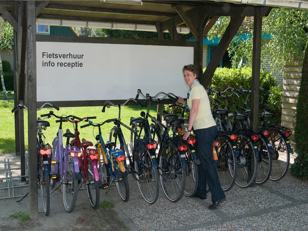 Bild 11 Bild 11