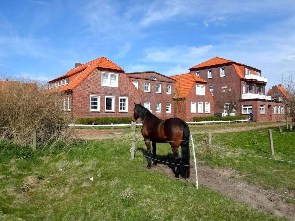 Achterdeck - Huis Vakantiegeluk