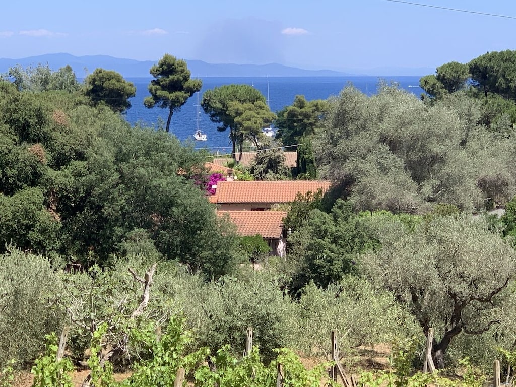 Appartamento Gelsomino
