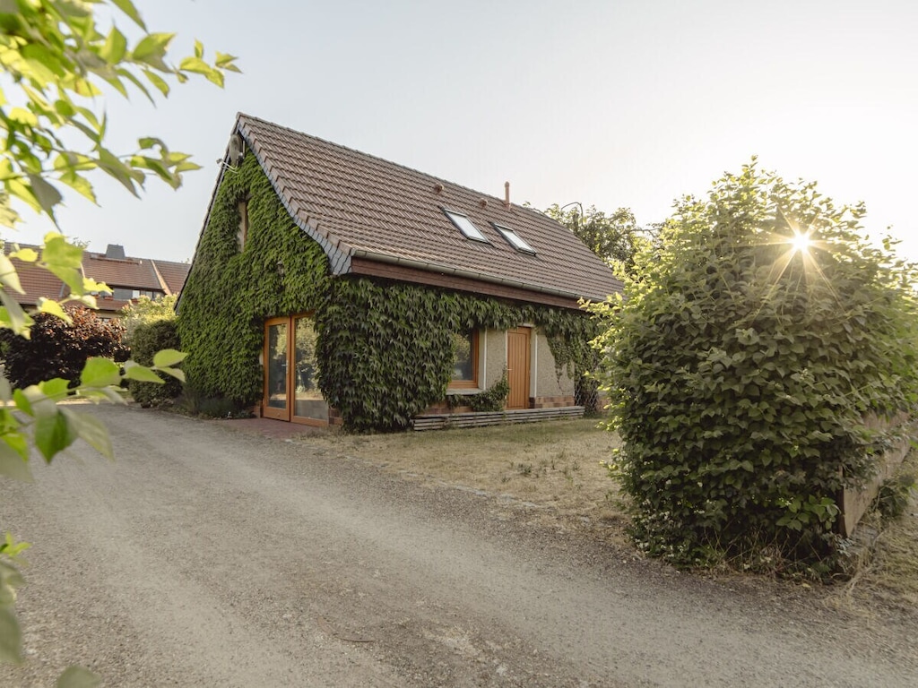 Merle in Plau - Heidenholz