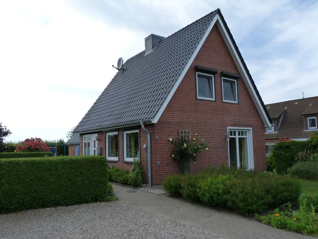Huis-zee-kikkers