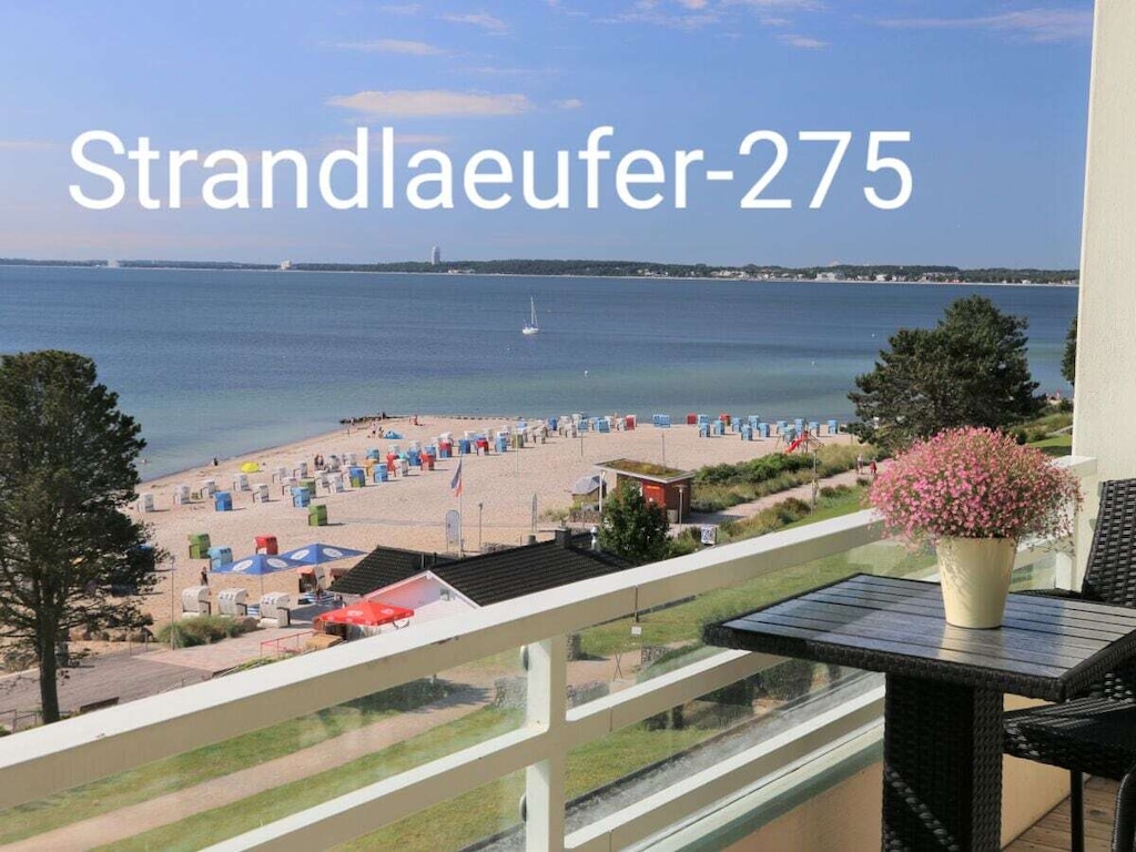 Strandlaeufer-275